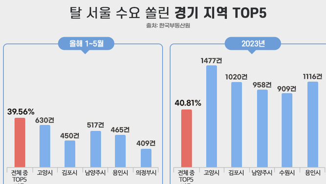 탈서울족 가장