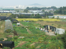 그린벨트 풀어도 입주까지 7년 넘게 걸린다는데