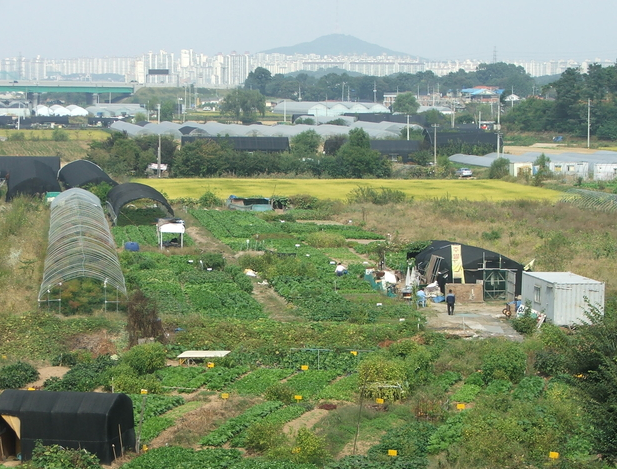 그린벨트 풀어도 입주까지 7년 넘게 걸린다는데