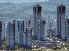 한 채의 집을 두고 24명이 뭉쳤다 경매장의 배신자 게임